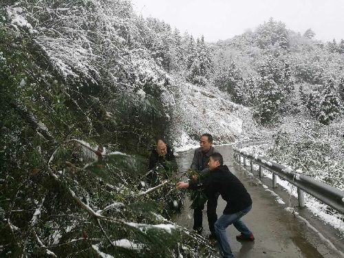 ǭ�������l(xi��ng)���_(k��i)չ��ѩ����·��ͨ�Ų�����