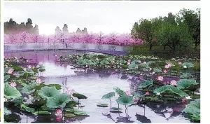 ͨ�^�ˣ�ʯ���f�����Ӿ��^���� ���조ʮ������