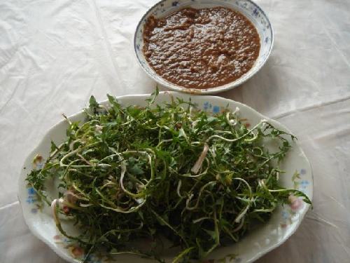 ��Ұ�������� ���������ⶾ�A�����Y