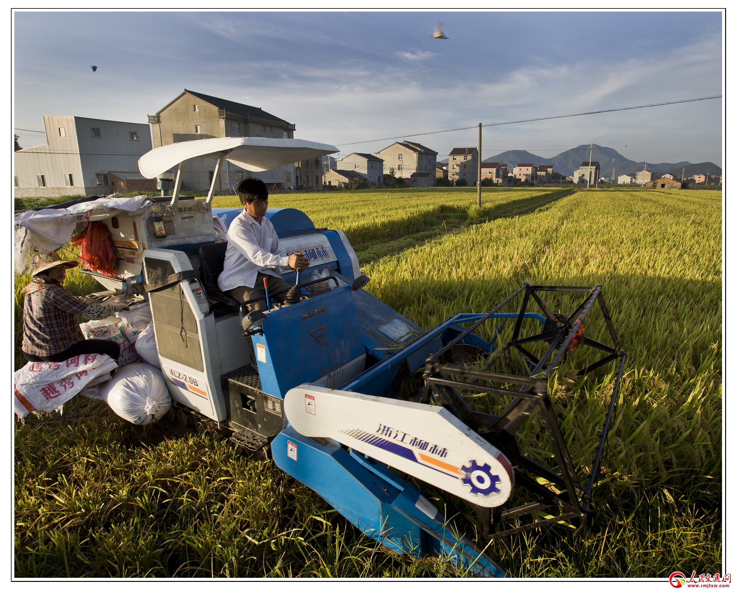 �㽭���T�h����P�L�{�D ����������