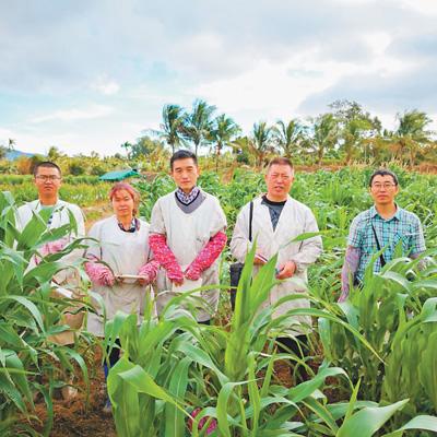 �o(w��)Փ��Δ�(sh��)��(j��)���ܔ�