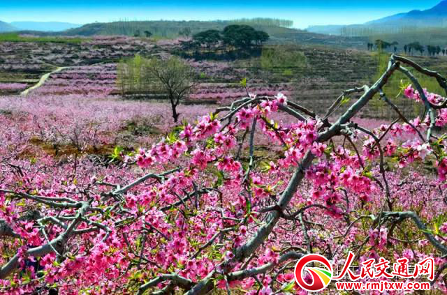 2019��ڰˌ�ɽ�|����ˮ��Ȫ�f���һ�ˇ�g��(ji��)�����_Ļ