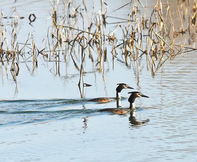 ��Į���� ����`��