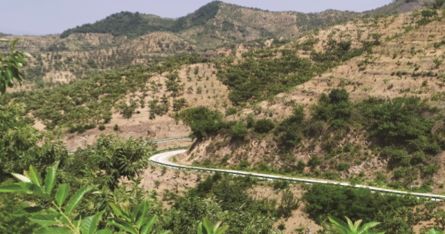 �����ݱ���ĺ��r(n��ng)��·��