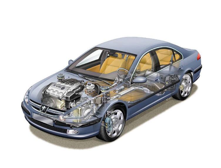 ��܇�㲿��������a(ch��n)�I(y��)�����¡��{(l��n)����