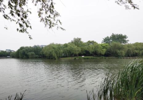 �o���r��������ˮ�����K ������10�|�Ŀ�������x����