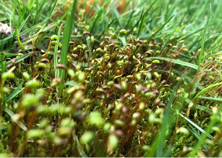 �������ߺ�ط�֧���wϵ���R����(zh��n) �h(hu��n)���a�I(y��)��Α�����