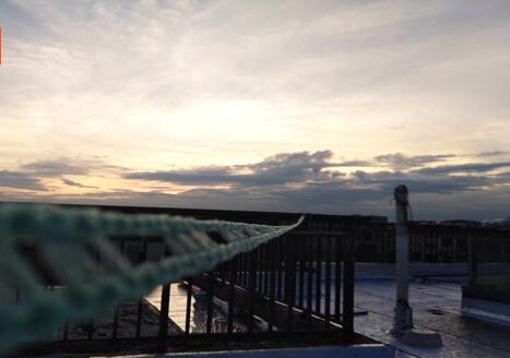 2020�������������������^�l(f��)�� �坍��ů��β�����