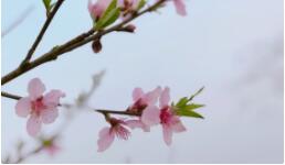 �t(y��)����ˮ���̎��������ɽ����ɽ�t(y��)Ժ�@�Ӱ��}֧��