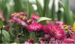 ��δ_��������ȣ�MLSS���������@ƪ������Ͷ�����