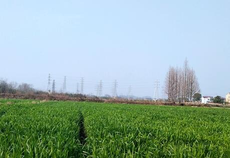 2019�ի@�H�S 2020�r(n��ng)�ӭh(hu��n)�������֌���δ��}