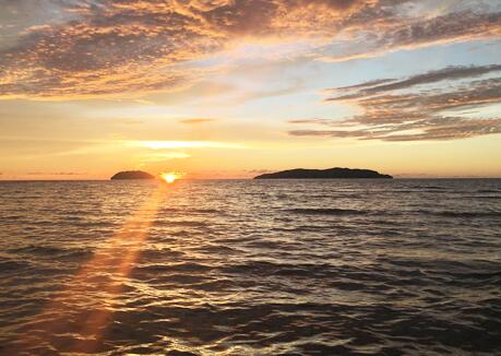 ����(l��i)�ĭh(hu��n)�����X�M(j��n)�����f ������Λ_�Ƴ��L(zh��ng)�컨��