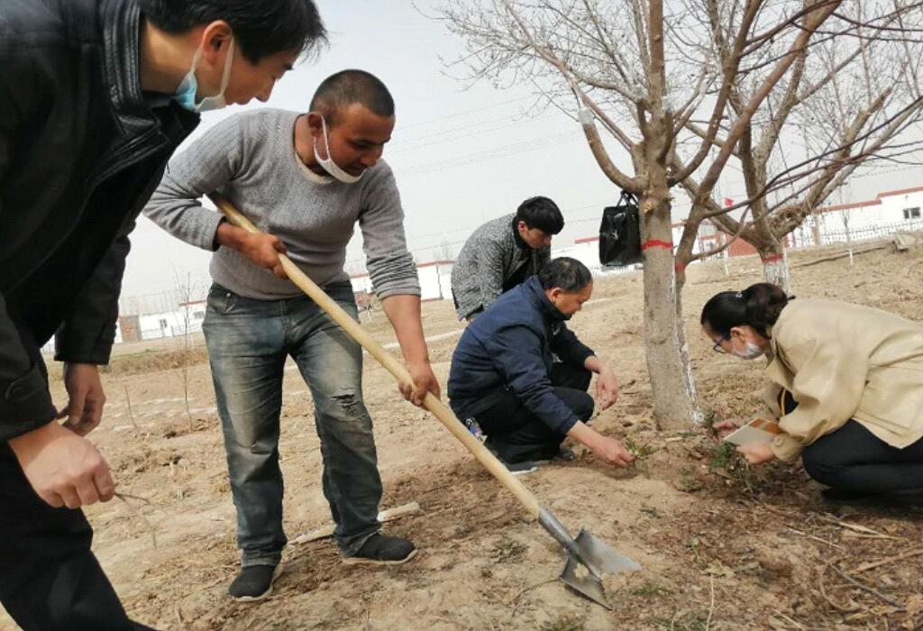 �½��ݳ� Óؚһ��(xi��n)�_�h��� ���������W����Ұ