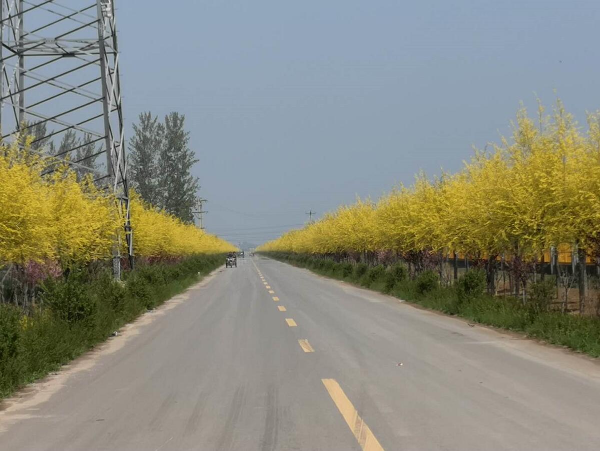 ����ͨ�P(gu��n)ע|�ӱ�κ�h���e�O̽���r(n��ng)�幫·���o(h��)���w��������ȫ�h�l(xi��ng)�����d