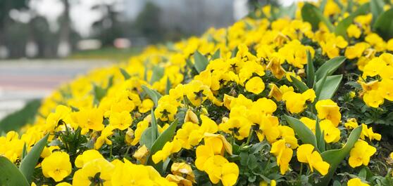 ���ϡ�������١�֮·��߀�܈D�ك|�t(y��)�U̎���Ј�ʲô