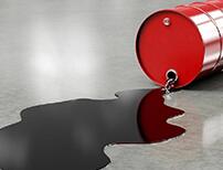 5��14�Շ�(gu��)��(n��i)�̓r(ji��)�����{(di��o)�� �����ԁ�(l��i)���ȔR�\