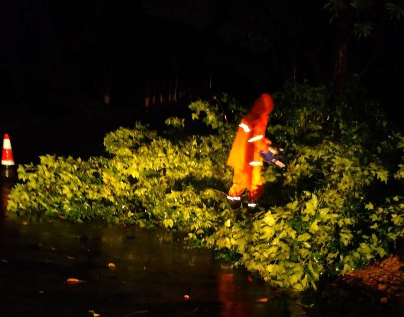 ����������·�־֣�������ľ�����[��  ð���Ƙ����U����