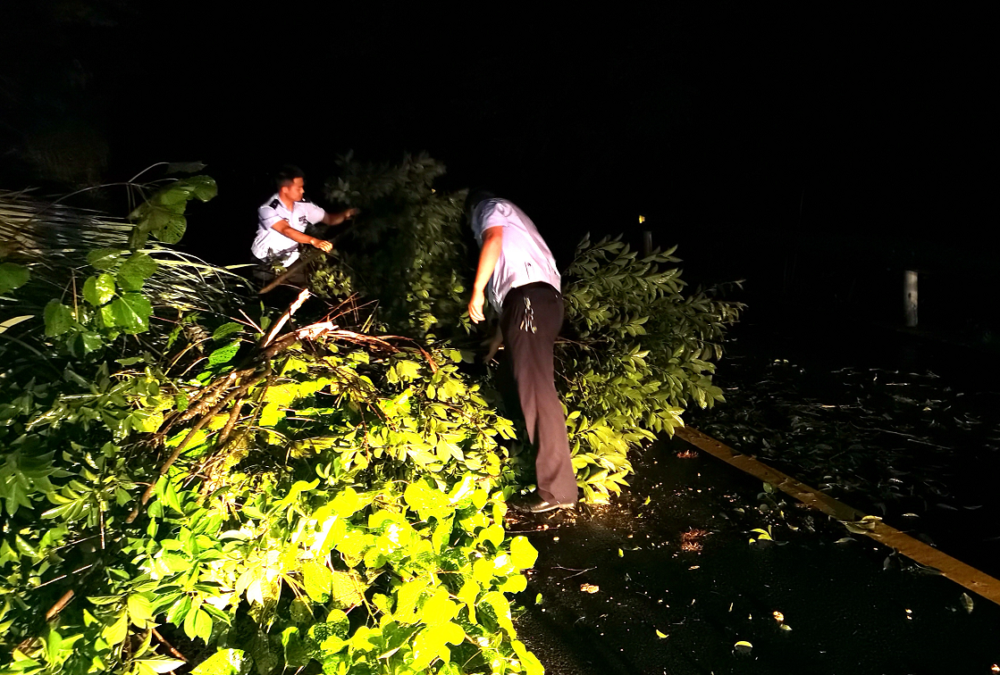 ����ͨ|������Űɽ�w�����\������Ѹ���Є����ϱ���ͨ