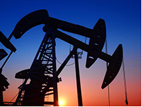 ԭ���M(j��n)���ɽ��D(zhu��n)�� 5���M(j��n)��ԭ��ͬ����19.2%