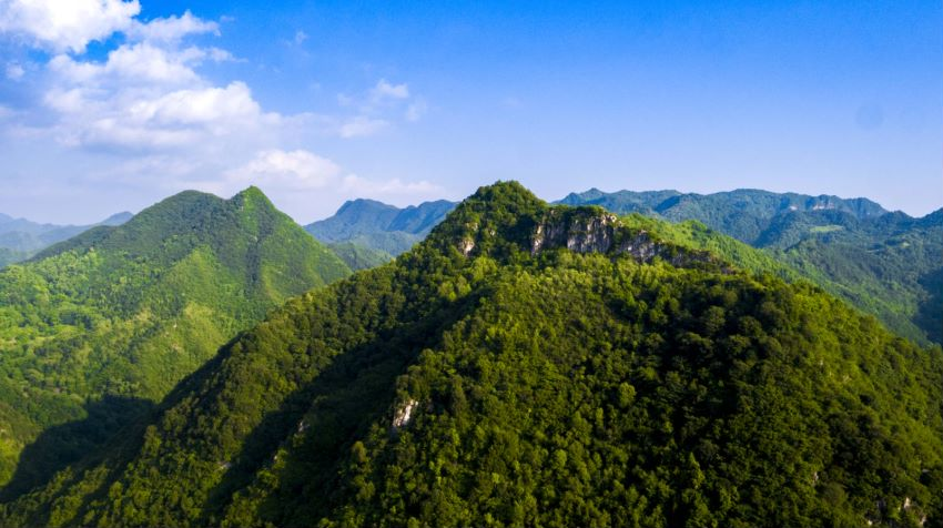 ��ؓ(f��)����ؓ(f��)�� Óؚ����(ji��n)���R��