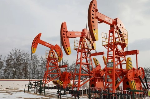 ���������͏S  ��ĸ��~�����A��