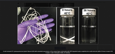 �����������ｵ�⡱��������