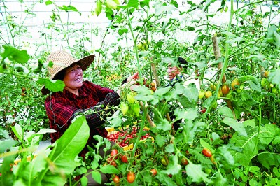 �l(xi��ng)�����d���r(n��ng)�I(y��)�������r(n��ng)��������r(n��ng)�����