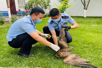 ����Ұ����(d��ng)��������C��Ȼ