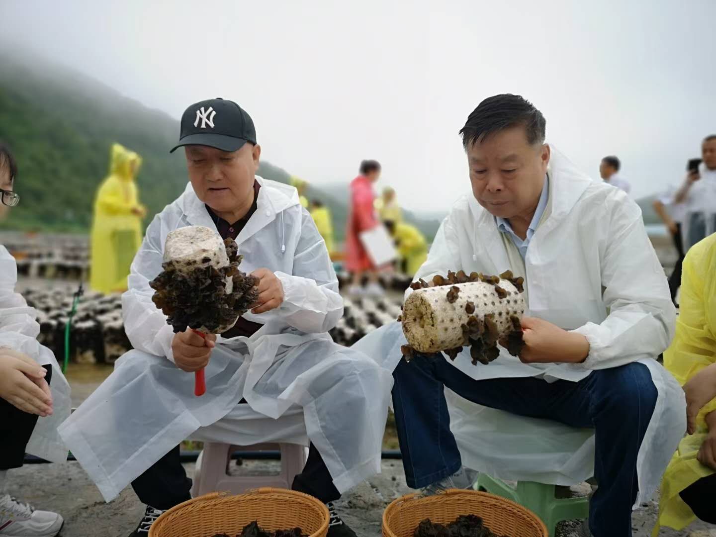 �˲�����Сľ���څ�������ѽ�(j��ng)�����˴�a(ch��n)�I(y��)!